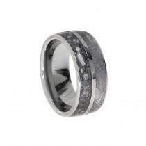wedding photo - Special Titanium Ring with Gibeon Meteorite and Ash Inlay, Pet Memory Ring