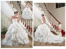wedding photo -  Beautiful Organza Ball Gown Inverted Basque Waistline Wedding Dress In Great Handwork