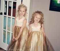 wedding photo - Flower Girl Dresses Gold Shimmer Gold Tutu gowns Ivory