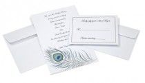 wedding photo -  Peacock Feather Invites for Wedding, 50-Pack