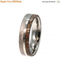 wedding photo - Wedding Sale Meteorite and Dinosaur Bone Ring on a Titanium Ring