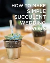 wedding photo - Succulent Wedding Favors - A Simple And Beautiful Favor Idea!