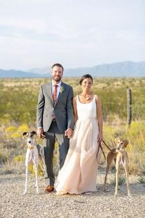 wedding photo - Including Dogs in Your Wedding