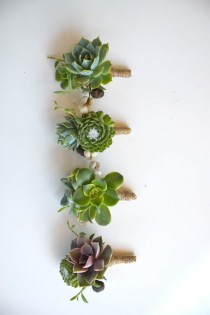 wedding photo - 6 Assorted Double Succulent Boutonnieres With Tallow Berry