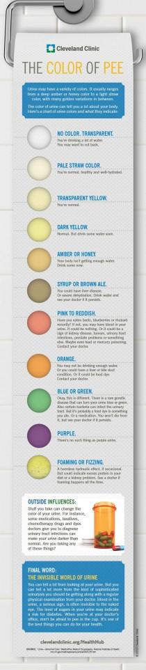 wedding photo - What Your Urine Color Says About You