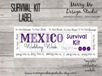 wedding photo - Destination Wedding Survival/Hangover Kit Label, Custom/Personalized
