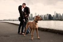 wedding photo - Best Of The Best Engagement Photos Adorable Animals
