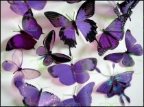 wedding photo - 12 x Mixed Purple 3D Transparent Butterflies