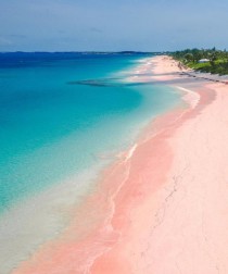 wedding photo - Where To Find Pink Sand Beaches (and Black, And Green...)