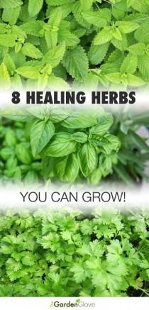 wedding photo - 8 Healing Herbs You Can Grow