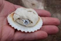 wedding photo - Beach Proposal, Engagement Ring Box, Sea Shell, Organic, Natural, Beach, Nautical, Unique, Engagement Gift, Shell Ring Box, Shell Ring Dish