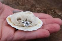 wedding photo - Nautical Engagement Ring Box, Beach Proposal, Sea Shell, Organic, Unique, Natural, Engagement Gift, Shell Ring Dish, Shell Ring Holder
