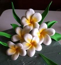 wedding photo - Gum Paste Hawaiian Plumeria White and Yellow