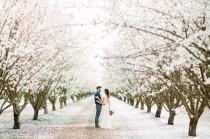 wedding photo - Boho Meets Modern Wedding Shoot In The Almond Orchard - Weddingomania