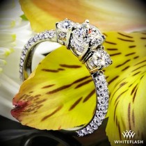 wedding photo - Platinum "Rounded Pave" 3 Stone Engagement Ring