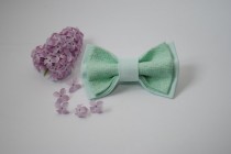 wedding photo - Embroidered bowtie Mint striped pretied bow tie Groomsmen bow ties Men's bowtie Bow tie Gifts for brother Unisex bowties Birthday gift