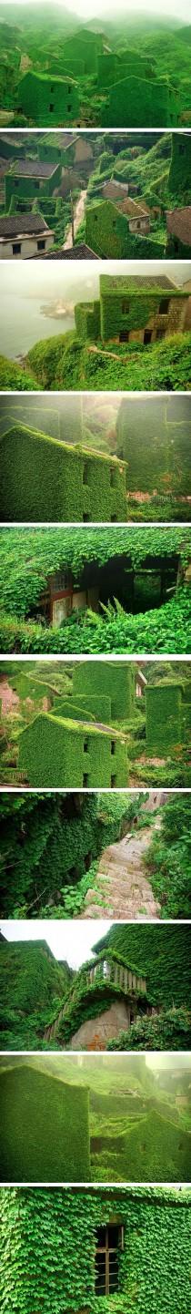 wedding photo - Photographer Captures Amazing Images Of An Abandoned Chinese Fishing Village Being Reclaimed By Nature