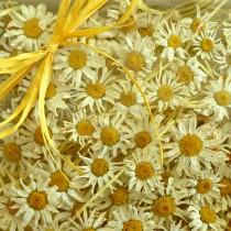 wedding photo - 100 Small White Daisies, Yellow and White, Dried Daisies, Wedding Confetti, Confetti, Craft Supply, Dry Flower, Daisy, Wedding, Decoration
