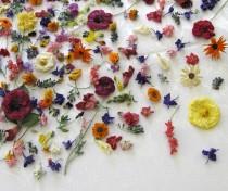 wedding photo - Dried Flowers, Wedding Confetti, Centerpieces, Real, Bridal, Table Decor, Wedding, Aisle Decorations, Real, Daisy, Pansy, 500 Dry Flowers
