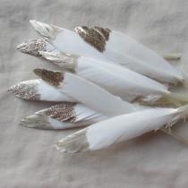 wedding photo - Wedding Decorations - White & Gold Feathers