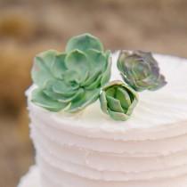 wedding photo - Sugar Succulents. Toppers for Cakes or Cupcakes. Wedding & Bridal Shower Sugar Work.