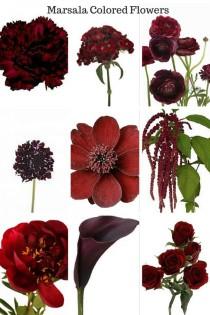 wedding photo - Red, Burgundy, Cranberry & Maroon Colored Weddings