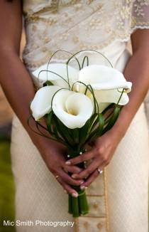 wedding photo - Weddings «  First Bloom Of Charleston