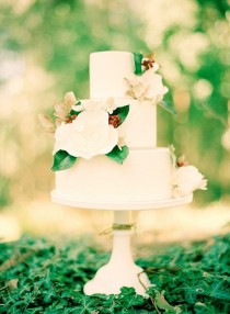 wedding photo - Fairy Cake