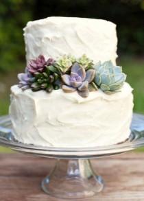 wedding photo - Succulent Wedding Cake