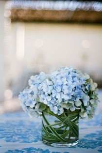 wedding photo - Hydrangeas