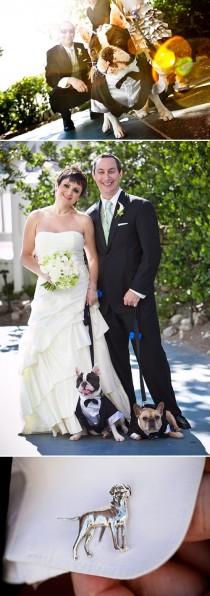 wedding photo - How To Include Your Dog In Your Wedding Day