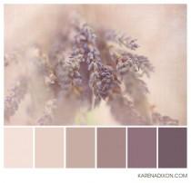 wedding photo - Colour Palettes For Colouring Inspiration