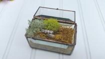 wedding photo - Glass Treasure Box - Rectangle Ring Box