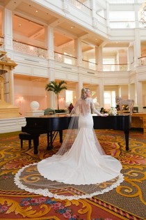 wedding photo - Gorgeous lace Veil