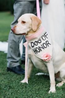 wedding photo - DIY Painted Burlap And Rose Dog Collar