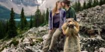 wedding photo - This Squirrel Photobombed A Couple's Engagement Pics And It Was Nuts