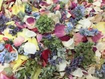 wedding photo - Flower Petals. Wedding Petals. 30 cups. Freeze dried flower petal blend. Grown on our family farm in the USA. Aisle petals. Tossing Petals.