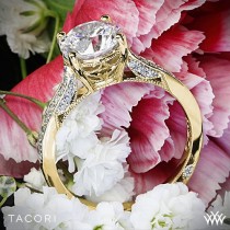 wedding photo - Tacori Engagement Rings