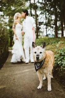 wedding photo - 10 incredible Seattle wedding photos that'll make you instantly happy