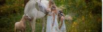 wedding photo - Fairy Wood Wedding