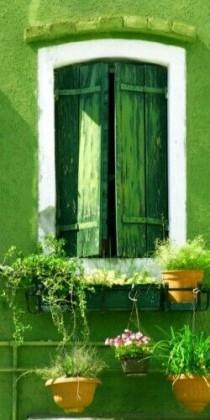 wedding photo - Refreshing Of The Green Windows