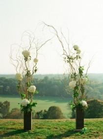 wedding photo - Branch And Hydrangea Wedding Arch