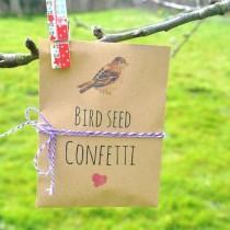 wedding photo - Bird Seed Confetti 