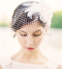 wedding photo - Lila Birdcage Veil with Swarovski Crystal and Feathers
