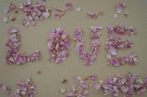 wedding photo - Petal confetti, pink & Ivory petal confetti, pink rose petals,  Rose petals,  Biodegradable confetti, petals for baskets,petals for cones