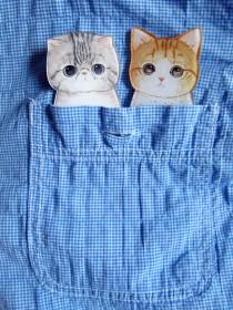 wedding photo - Cat pin - cat brooch - cute kitty - acrylic brooch - plastic pin - ginger cat - gray cat