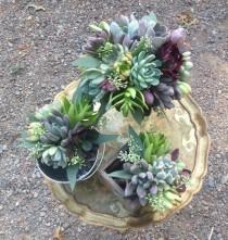 wedding photo - Succulent bouquet, variety of textures and colors
