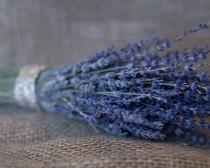 wedding photo - Dried Lavender Bouquet / French Provence Organic Lavender Bunch / Wedding Decor / Very Elegant Romantic Gift Wedding Anniversary