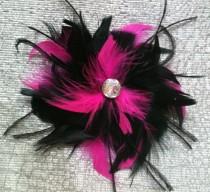 wedding photo - CUSTOM COLORS Fuchsia Hot Pink and Black Feather Hair Fascinator Clip - Wedding Bridal or Maids Piece Crystal BLING Accent Feathers Begonioa