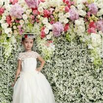 wedding photo - Beautiful Flower Girl White Lace Dress Transparent Stunning Lace Bodice Flufffy Satin Tulle Girls Dress